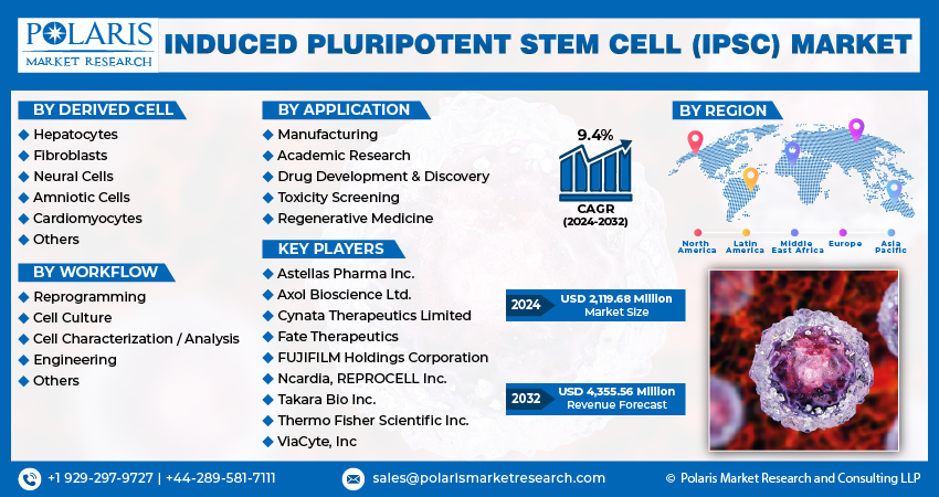 Induced Pluripotent Stem Cell (iPSC) Market info
